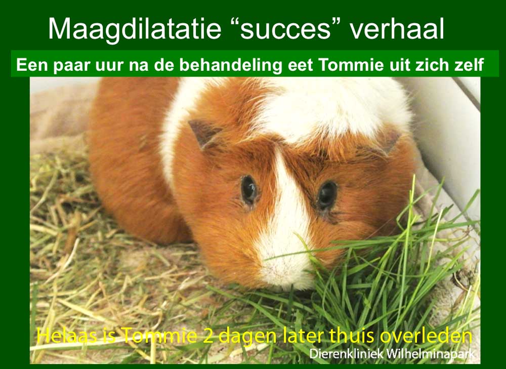 Tommie heeft een mdv in eerste instantie gaat het goed